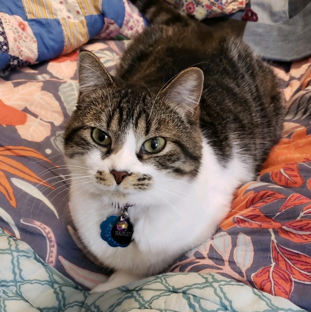 Meet your Posher, Hannah